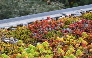the cost of Irnham green roof installation