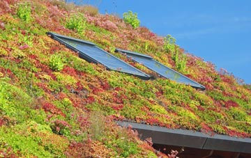Irnham living roof systems