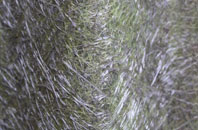 Irnham fibreglass roof work